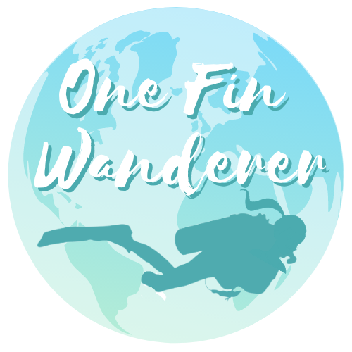 One Fin Wanderer